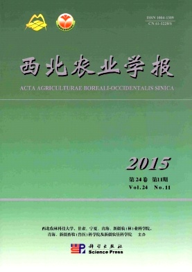 ʿƼ鱨 ˫¿ ڿ